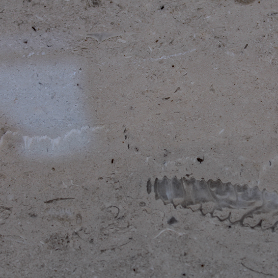 Perle Blanc Wet Leathered Paver